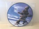 RUSH TEST FOR ECHO PROMO VINYL 2009 LP PICTURE DISC PD 83739-1