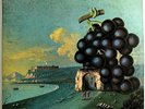 MOBY GRAPE 