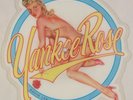 DAVID LEE ROTH: Yankee Rose / Shyboy 10” Nude Picture Disc Van Halen UK