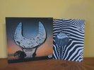 ACHIM REICHEL: A.R.IV, ZEBRA, 2949 008, GER 1st, 12