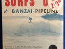 Surfs Up At Banzai Pipeline, Northridge 101, SEALED, Bob Vaught, Dave Meyers