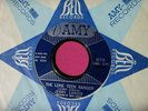 JERRY LANDIS (Paul Simon) - The Lone Teen Ranger - 45 rpm - Amy 875