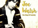 JOE WALSH-King of Comedy Double Vinyl LP post-Eagles phase  -  the years 1981-91