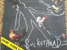 Buckethead #142 RARE SOLD OUT SIGNED Autographed Crime Slunk Scene Vinyl Record