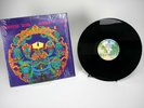 GRATEFUL DEAD - ANTHEM OF THE SUN - IN SHRINK - VINYL RECORD ALBUM -