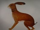 BUNYAN, Vashti - Lookaftering - Vinyl (LP)