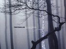 TRENTEMOLLER THE LAST RESORT LP VINYL 33RPM NEW 2006