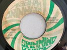 THE WAILERS - DREAMLAND - SPINNING WHEEL ( REGGAE 7 )