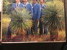 RAMON AYALA Y LOS BRAVOS DEL NORTE Tragos Amargos LP VINYL RECORD VG+ DLV
