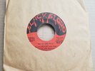BLACK BLOOD AND THE CHOCOLATE PICKLES MISSISSIPPI MUD 45-RARE FUNK