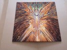Cynic ?– Focus, Vinyl (Roadrunner Records ?– RR 9169-1)