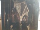 Vinyl Wolves In The Throne Room 