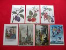 PINKERTON'S ASSORTED COLOURS mirror mirror SET OF 7 ORIG 1965 MINT Polish FLEXI