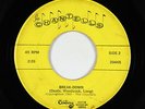 Garage 45 - Chantells - Break-Down - Century - mp3