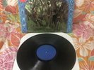 Creedence Clearwater Revival Green River LP Close NM Vinyl EX in Shrink