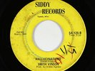Garage Psych 45 - Smith Vinson - Hallucinations - Siddy - mp3 - rare