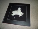 Liza Minnelli Results Double Vinyl boxed set - Pet Shop Boys