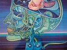 CLEARLIGHT SYMPHONY   UK COLOR VIRGIN PRESS   1975  TIM BLAKE,STEVE HILLAGE