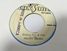 DELROY WILSON-RIDING FOR A FALL B/W BONNY & SKITTER-COOL BREEZE 7