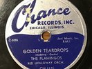 The Flamingos 1953 DOO WOP 78 Golden Teardrops / Carried Away on CHANCE  VG 