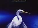 Faith No More-Angel Dust Vinyl / 12