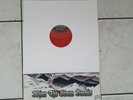 ROR ROCK O RAMA ISD REBELLES GB S.-WHEN THE STORM...RED LP VINYL