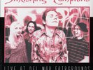 Smashing Pumpkins Live At Del Mar Fairgrounds 2-LP   Ltd Ed   New/Sealed