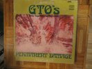 Girls Together Outragiously,Permanant Damage-GTOs,Zappa's Straight Lbl,Promo LP