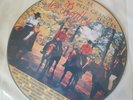 Les Beatles - Plus Grands Succes - Picture  Disc