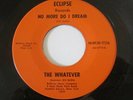 RARE 60'S GARAGE PSYCH ROCK 45. THE WHATEVER-THE VALLEY OF DEATH / ECLIPSE-1101