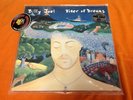 Billy Joel River of Dreams Rock LP NEW 180 Gram Gold Vinyl Piranha Records