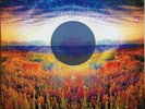 All India Radio ?- Fall Remixes 2014 Vinyl LP Record Limited Edition w/ Extra