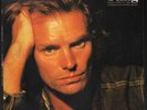 Sting Vinile 10
