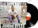 JUNIOR BYLES Beat Down babylon DYNAMIC Jamaica LP WIZZ 5001 TROJAN TRL-52B
