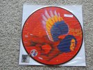 David Bowie The Man Who Sold The World Limited Edition Picture Disc Vinyl RSD