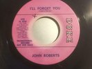 John Roberts - I'll Forget You