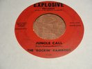 RARE  The Rockin' Ramrods  Garage 45 VG+
