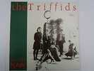 The Triffids ?– Treeless Plain LP, Aus, Insert, NEAR MINT