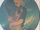 Rare Rod Stewart Picture Disc Blondes have more Fun 12