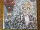 Ty Segall - Self Titled RARE Colored Vinyl Lp Castleface Thee Oh Sees  Fuzz