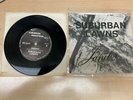 Suburban Lawns Janitor Protection 45 Vinyl 7” 1980 Mint