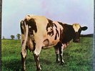 Pink Floyd   Atom Heart Mother   Orig. '70 Harvest   1st Press