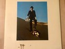 Pink Floyd Wish You Were Here Vinyl Japan Poster (no OBI)