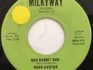 60s GARAGE ROCKER 45 RPM - DEAN CARTER - 1966  