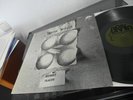 SATIN WHALE DESERT PLACES Lp 1974 MINT KRAUTROCK MUSIC