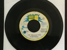 DELROY WILSON Last Thing On My Mind HARRY J 1984 JAMAICA REGGAE 7” 45