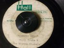 Shaky Drake & the Rhythm Shakers - Unknown Rockabilly Acetate on Hall label