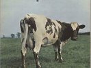Atom Heart Mother - EMI - EX Pink Floyd vinyl LP album record UK SHVL781
