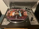 ? Frank Zappa The Grandmothers Picture Disc LP sehr selten??