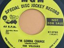 Northern Soul 45 Velours-I'm Gonna Change-MGM Demo 1970s Reissue